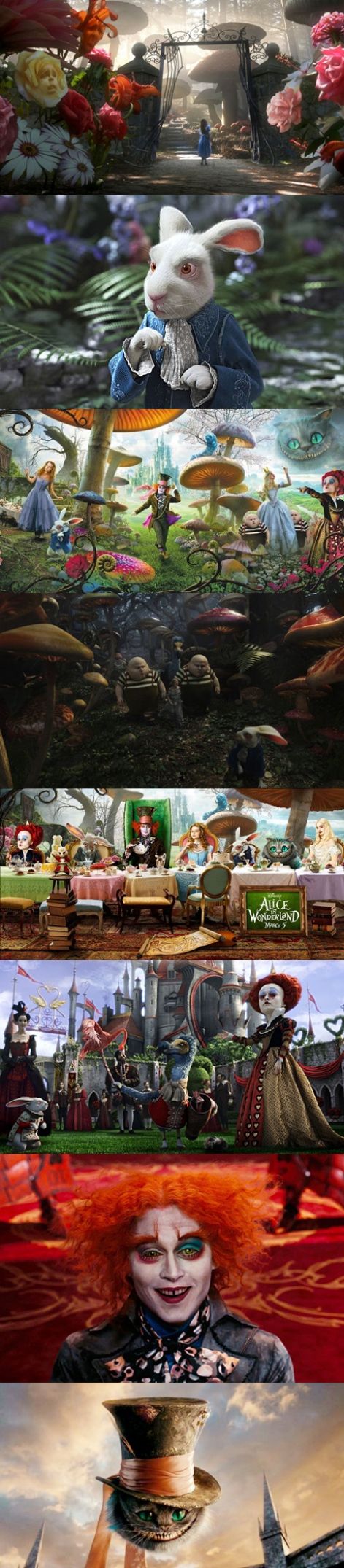 alice_in_wonderland-vert.jpg