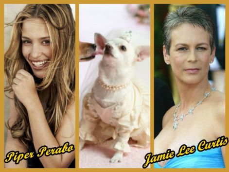 pizap.com10.5099412733688951342254404312.jpg