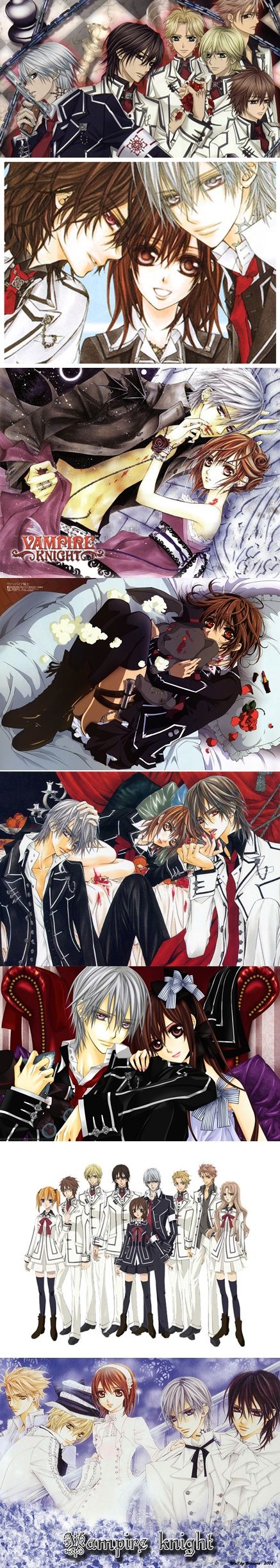 vampire_knight3-vert.jpg